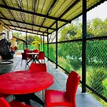 Kokan Kinara By Wild Flower
